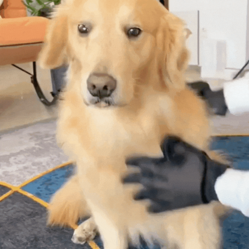 Guante para mascotas TrueTouch?