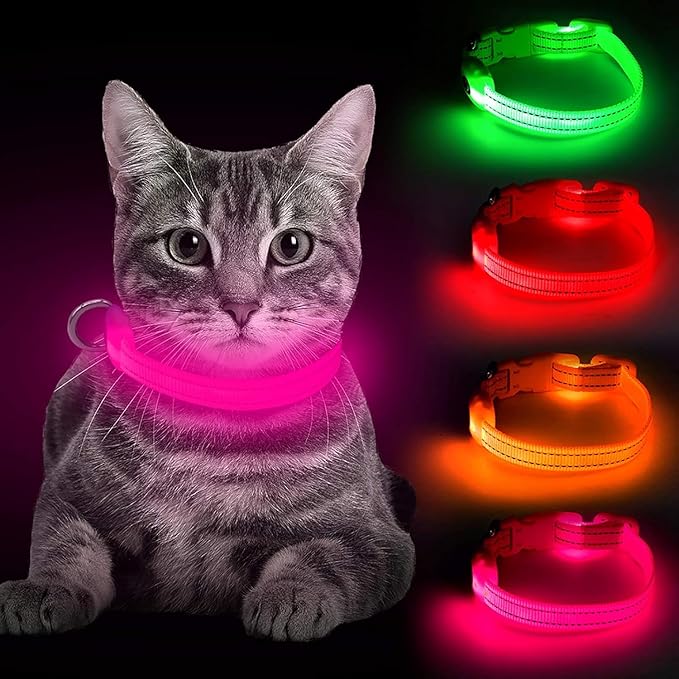 CORREA LED RECARGABLE PARA MASCOTAS