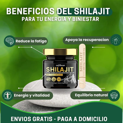 SHILAJIT ORGINAL DE HILAMAYAN
