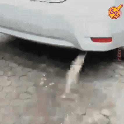 BOST UP- LIMPIADOR INSTANTÁNEO DE CATALIZADOR  DE AUTOMÓVILES