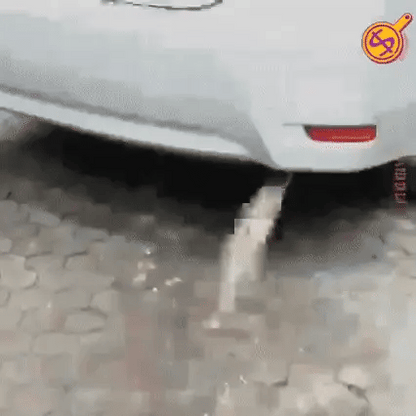 BOST UP- LIMPIADOR INSTANTÁNEO DE CATALIZADOR  DE AUTOMÓVILES